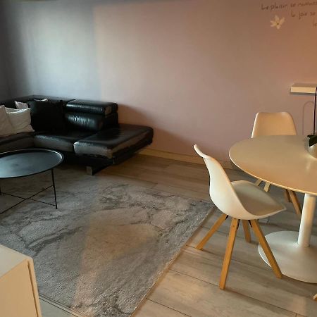 Superbe Appartement Avec Place De Parking Gratuit Strasbourg Kültér fotó