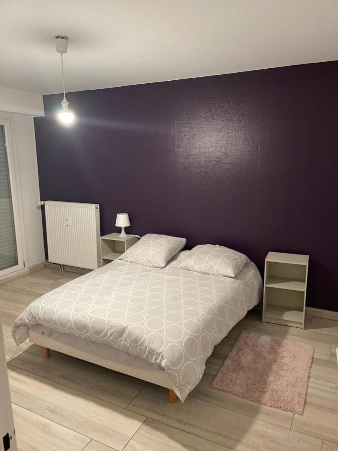 Superbe Appartement Avec Place De Parking Gratuit Strasbourg Kültér fotó
